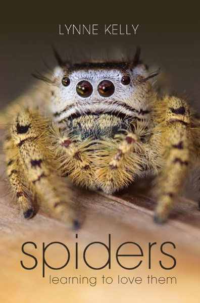 spiders, learning to love them